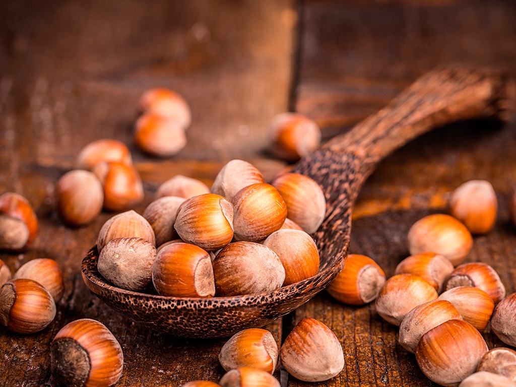 ROUND HAZELNUT IN SHELL
